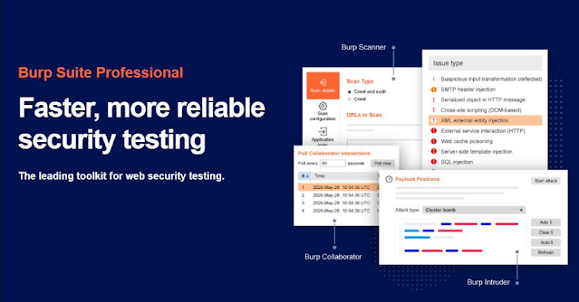 burp suite Professional